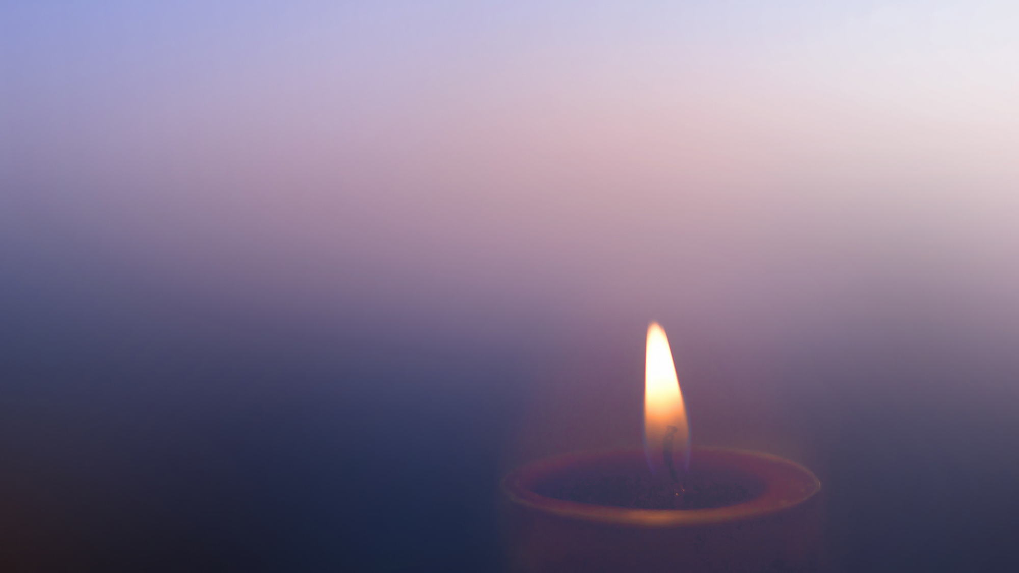 The cure is in the illness - a reflection from Fr Laurence Freeman 