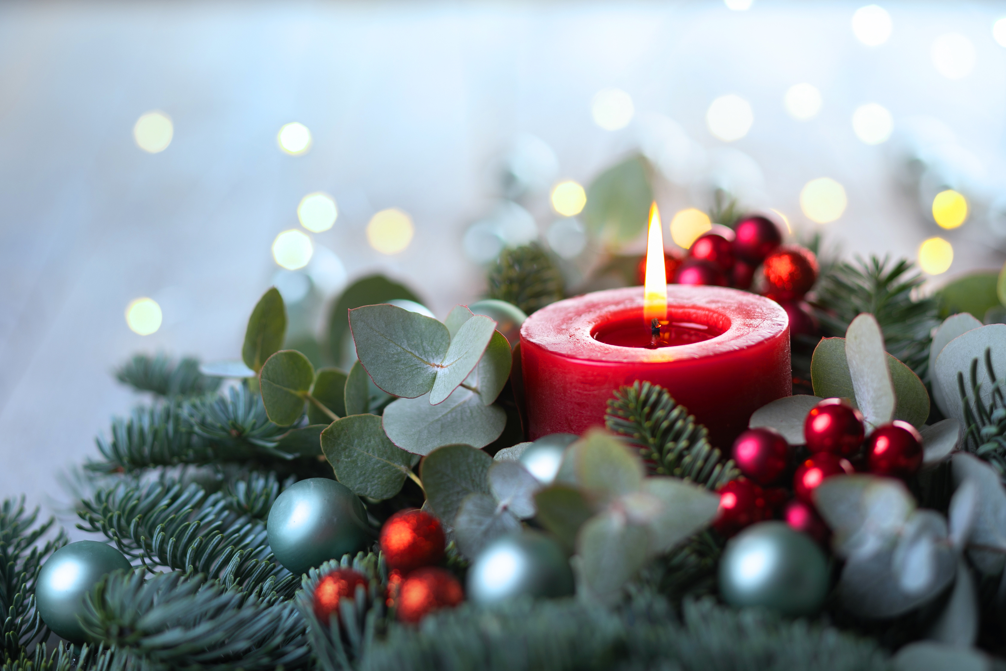 New for December 2019