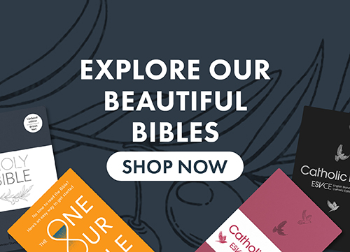 Bestselling Bibles