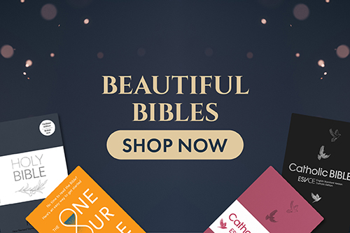 Explore Our Beautiful and Bestselling Bibles Explore Our Beautiful and Bestselling Bibles